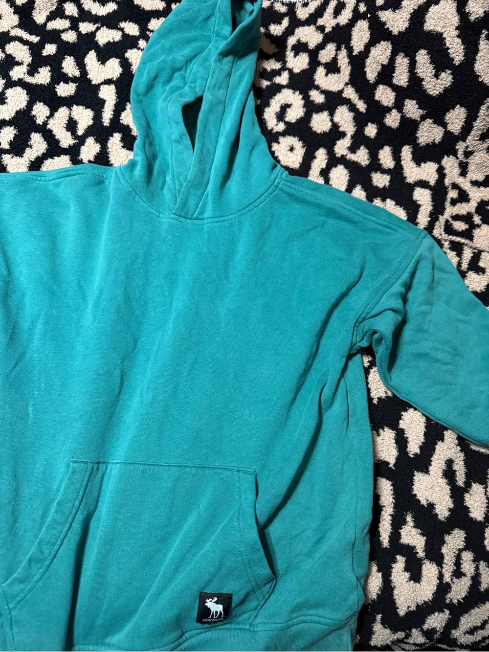 abercrombie kids Teal Pullover Hoodie